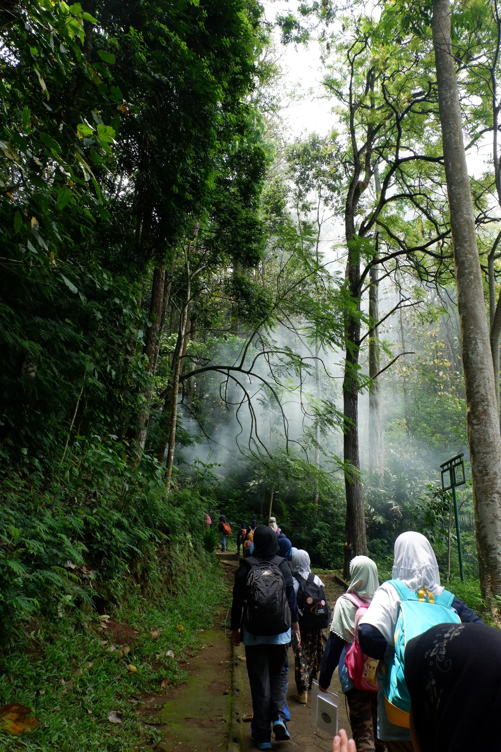 Suasana hutan sebagai ruang belajar