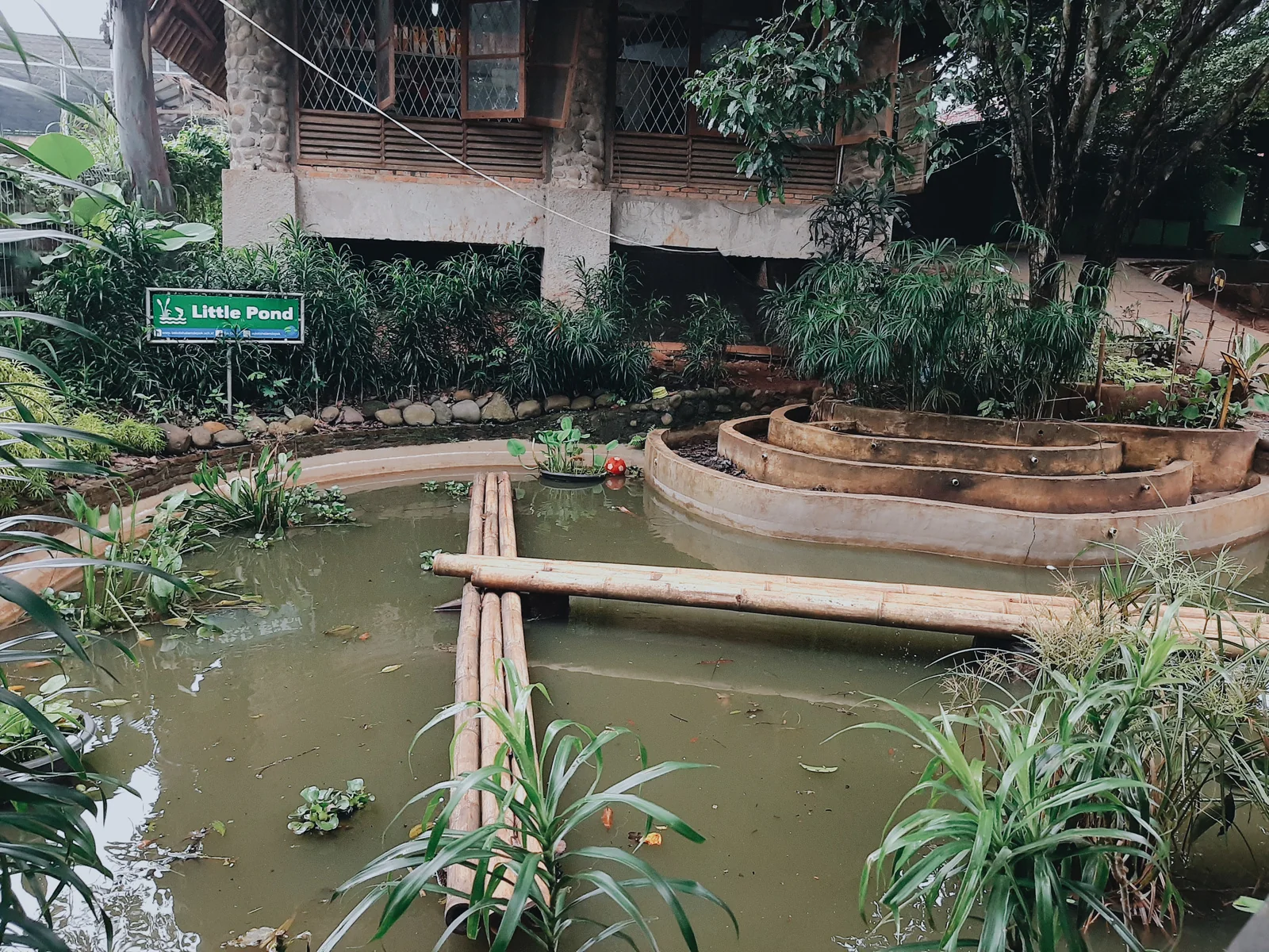 Little Pond Sekolah Alam Depok